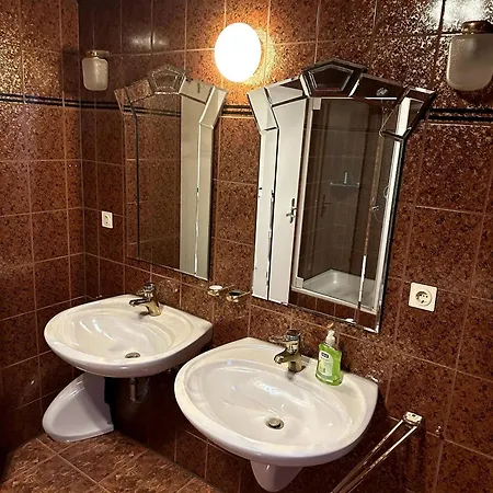 Apartment Large For 3-10 People Near Halle And Leipzig *